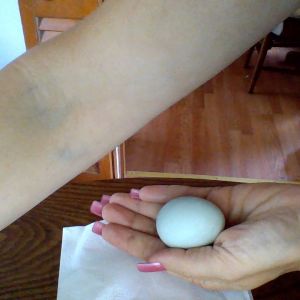 This if Kip's first egg. She is one of our Ameraucana babies. She is also the first chicken in our flock to lay an egg.