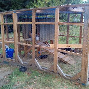 This is our low budget coop. Converted dog house, free 2x4's, rain tarp, and discounted wire mesh. It is 7'x12'.