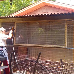 building the 1st coop