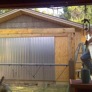 beginning the 1st coop