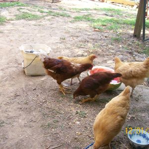 i noticed and fixed the date on my camera!!!!!!!!!!!!