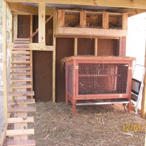 inside of the new coop