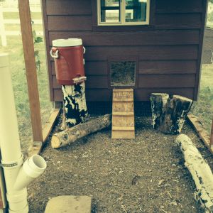 We have since added PVC feeders and BriteTap nipple waterers in both the run and coop.  This was possibly the best thing we ever did.  SO MUCH EASIER AND CLEANER!