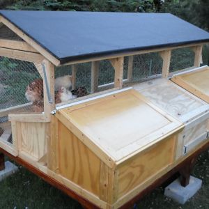 My first chicken coop ever. (Nearly finished; Needs roof and second level floors)