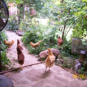 ok,what are they watching,lol