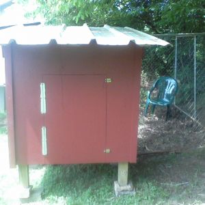 The nesting boxes are near the back so they can be accessed via that door.