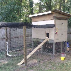 We'll this is our coop. I would like to thank a number of you for your help and coop ideas.