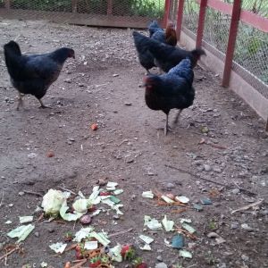 The girls enjoying some treats