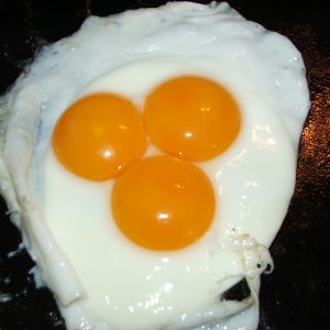 One of my chickens laid a very large egg yesterday.  I cracked it for breakfast expecting to find a double yoke but was surprised by this.  Anyone ever seen one of these?