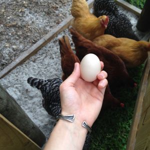 Our first egg ever. Didn't have straw in the nesting boxes yet. Tiny and and brittle, as is to be expected..