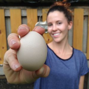 Our first egg ever.