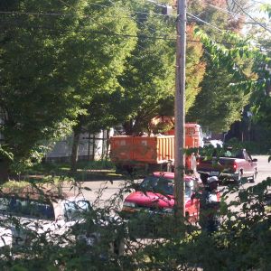 City tree removal trucks