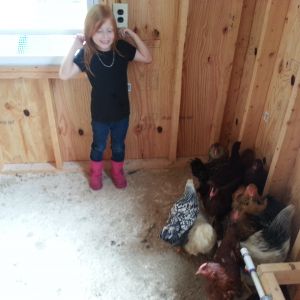 boo excited to have her chicks in their new hen house