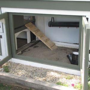 The arched door way gives the chickens access under the coop for more shelter; they often perform dirt bathes in this location

The ladder goes up to the sleeping quarters

Used sand for my foundation/flooring..Easy to clean