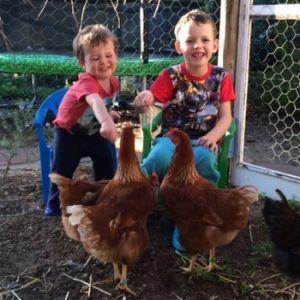 My boys with our chooks