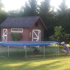 What do you do with a little used trampoline when the girls want out to play? Make a run. Necessity is the mother of invention!