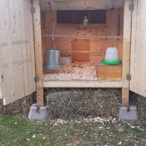 Wide-open access to the coop for easy cleaning - love it!!!