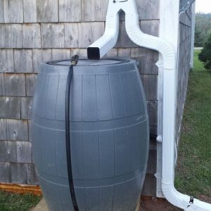 We got a rain barrel installed behind the house - we use the water for the chickens, gardening, etc.  It was an easy, eco-friendly addition!