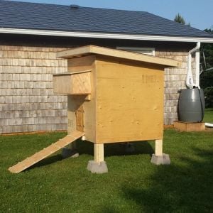 Brand new coop!  This was taken before the chicks took up residence.