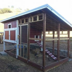 Our Coop and Run. Coop sits on second story above part of the run. 5 week old Easter Eggers and Rhode Island Reds hangin out in the run.