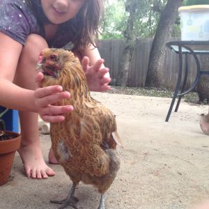 this is cranky old grandma aka cranky old