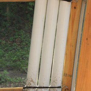 Great way to water chickens during spring/summer/fall in Iowa.