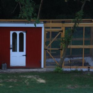 Small coop and run for happy and safe chickens (and ducks)!