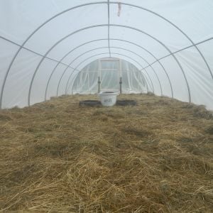 greenhouse getting going