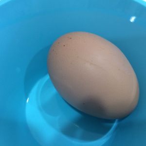 Berta's egg