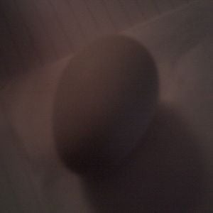 Possible olive egger?