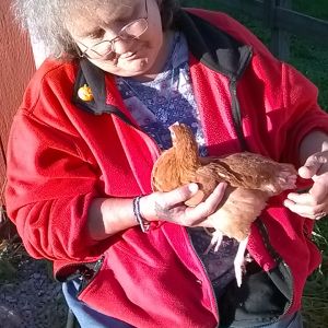 myself and my young pullet cinnamon