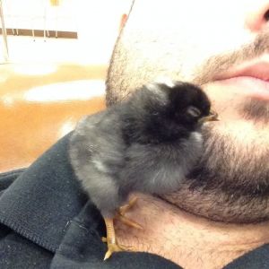 He was tired from a full day of fun