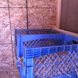 old milk crates make great nesting boxes