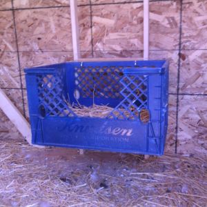 crate is hanging on hooks and can be removed easily