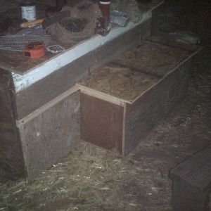 Nest box added to my anaconda duck coop finally...