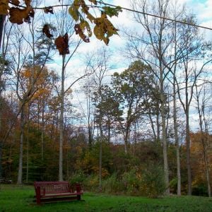 My thinkin' bench, fall flowers and trees and that beautiful sky!