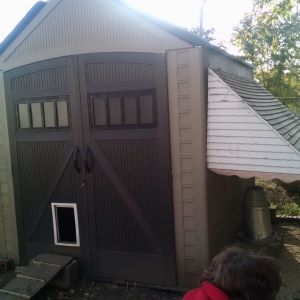 yes this is a rubbermaid shed with a doggie door.