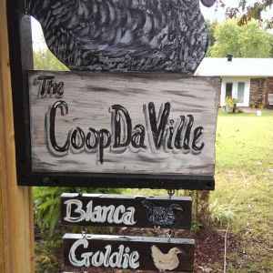 MY coop sign--WITH THE GURLS NAME ON IT --
