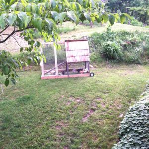 Tractor coop my son built