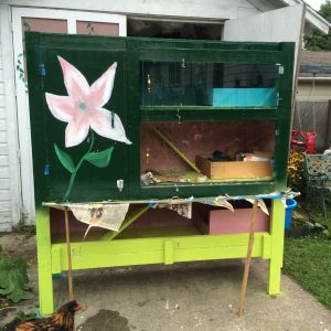 New coop being worked on