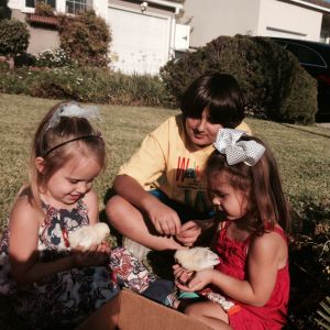 Grand daughters meeting our new chicks.