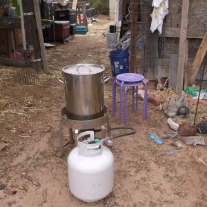 Scalding pot is a turkey fryer.