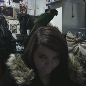 My sister and blue throated Conure.