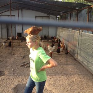 Rylee and her favorite pullet that she hatched for a 4H project.