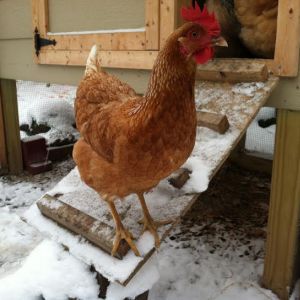 I resent you for this white stuff