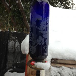 Snow in Colorado