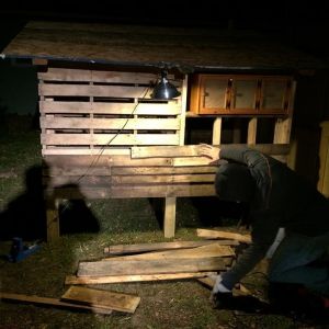 Putting up the first side of pallet siding. We used a reciprocating saw with a demolition blade to cut though the pallet nails. Worked great, except for when our battery operated saw died every 2 pallets! 
Nov 8 2014