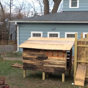 Daytime photo of the first finished side with nesting boxes. 
Nov 9 2014