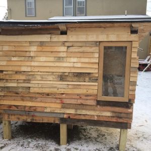 Daytime photo of 2nd side finished! (Facing west) Shingles are also installed, just need to install soffits (using pallet wood)
Nov 12 2014