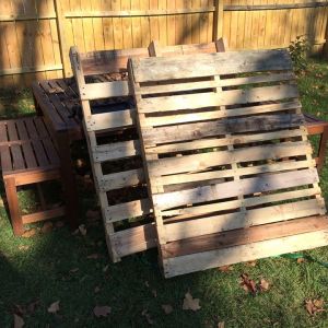 Free pallets! 
Nov 6 2014